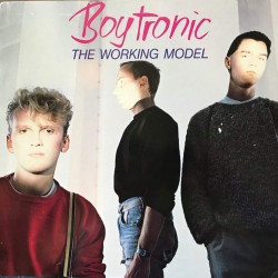 Пластинка Boytronic The Working Model